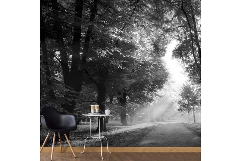 Fototapet Path Of Memories 200x140, Artgeist sp. z o. o.