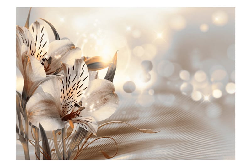 Fototapet Princesses Of The Morning 400x280 - Artgeist sp. z o. o. - Inredning - Väggdekor - Tapet & tapettillbehör - Fototapet