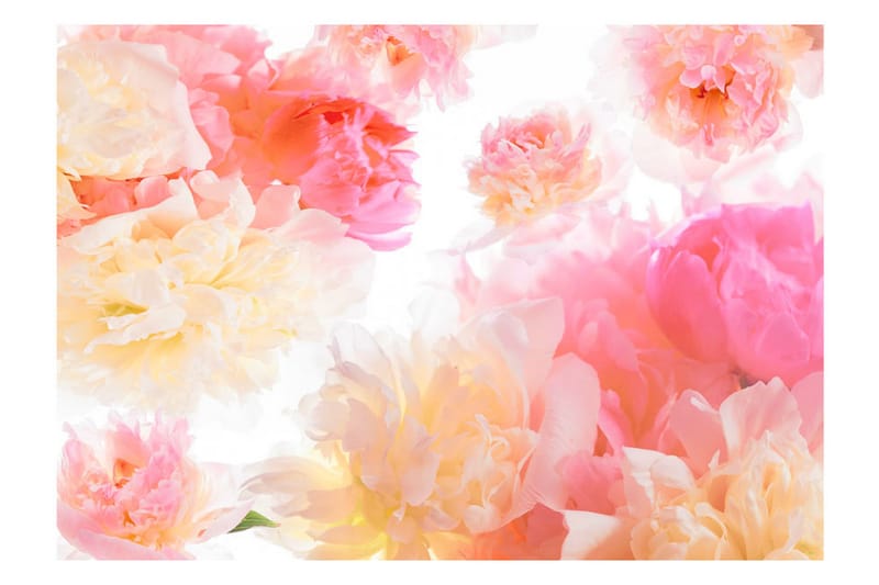 Fototapet Pastel Peonies 300x210 - Artgeist sp. z o. o. - Inredning - Väggdekor - Tapet & tapettillbehör - Fototapet