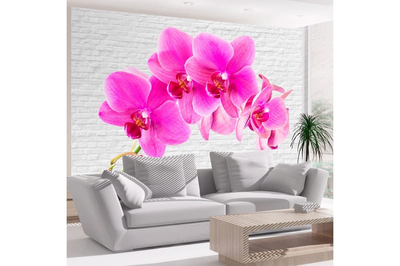 Fototapet Pink Excitation 100x70, Artgeist sp. z o. o.