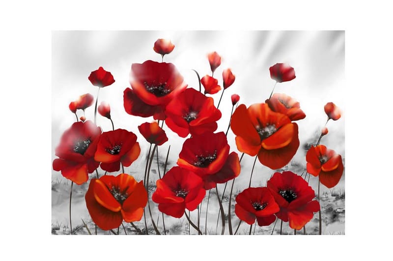 Fototapet Poppies In The Moonlight 300x210 - Artgeist sp. z o. o. - Inredning - Väggdekor - Tapet & tapettillbehör - Fototapet