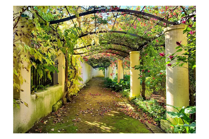 Fototapet Pergola 300x210 - Artgeist sp. z o. o. - Inredning - Väggdekor - Tapet & tapettillbehör - Fototapet