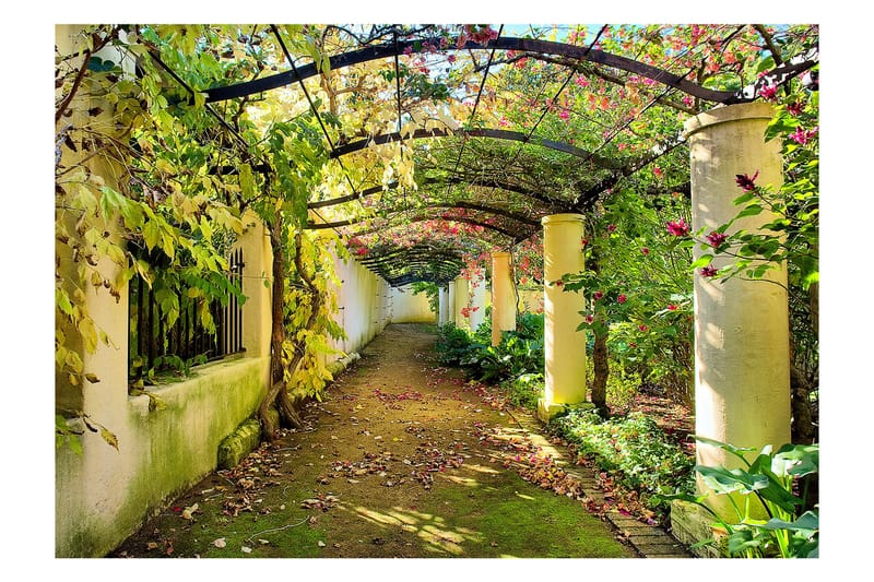 Fototapet Pergola 300x210 - Artgeist sp. z o. o. - Inredning - Väggdekor - Tapet & tapettillbehör - Fototapet