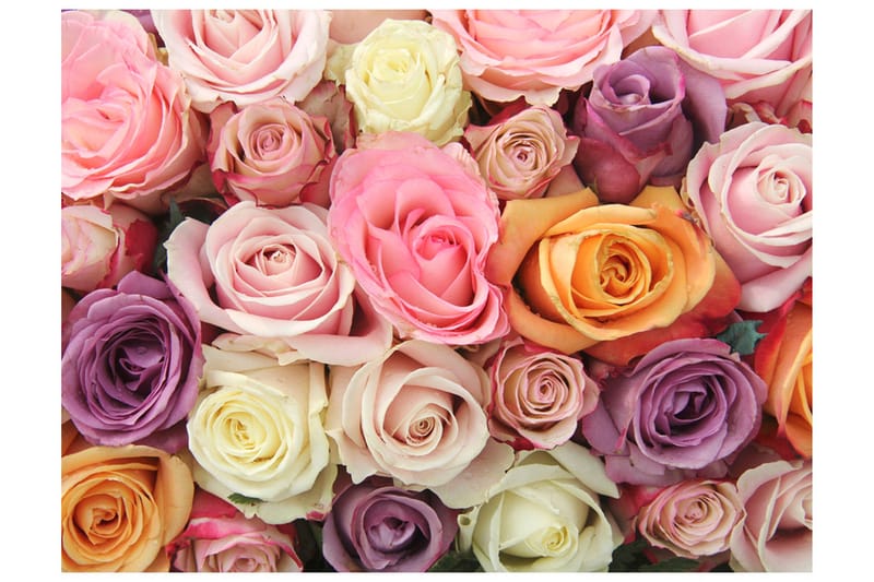 Fototapet Pastel Roses 350x270, Artgeist sp. z o. o.