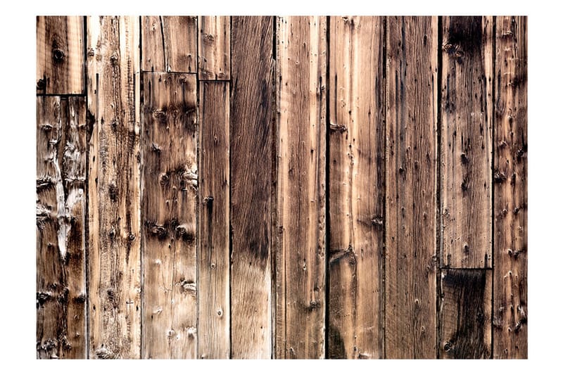 Fototapet Poetry Of Wood 350x245 - Artgeist sp. z o. o. - Inredning - Väggdekor - Tapet & tapettillbehör - Fototapet