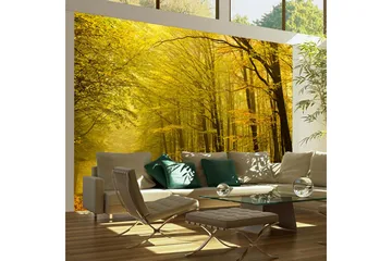 Fototapet Väg Höst Skogen 350x270 - Artgeist sp. z o. o. - Inredning - Väggdekor - Tapet & tapettillbehör - Fototapet