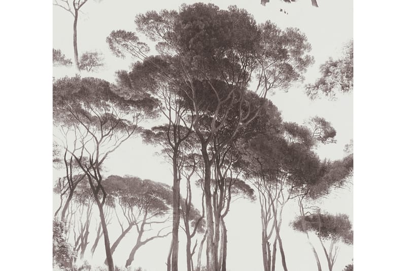Forest look Tapet History of Art Ovävd - AS Creation - Inredning - Väggdekor - Tapet & tapettillbehör - Mönstrad tapet