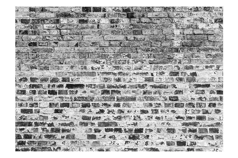 Fototapet Border Of Greynesses 350x245 - Artgeist sp. z o. o. - Inredning - Väggdekor - Tapet & tapettillbehör - Fototapet