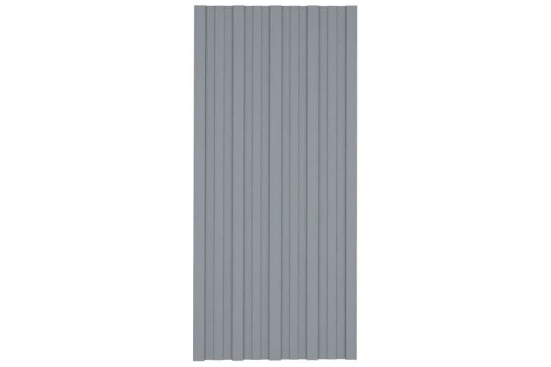 Takprofiler 12 st galvaniserat stål silver 100x45 cm - Takpanel & takskiva