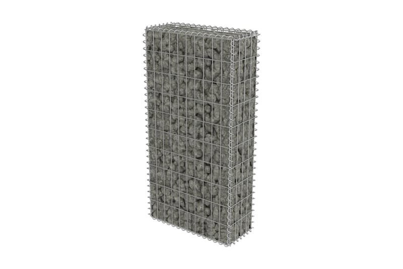 Gabionmur i galvaniserat stål 50x20x100 cm - Silver - Gabion