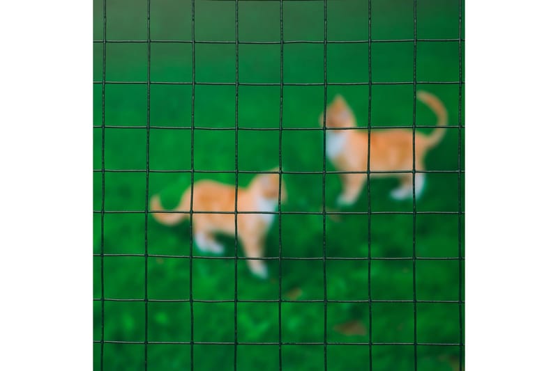 Nature Ståltrådsnät fyrkantig 0,5x5 m 13 mm plastbelagd stål - Grön - För djuren - Nätstängsel