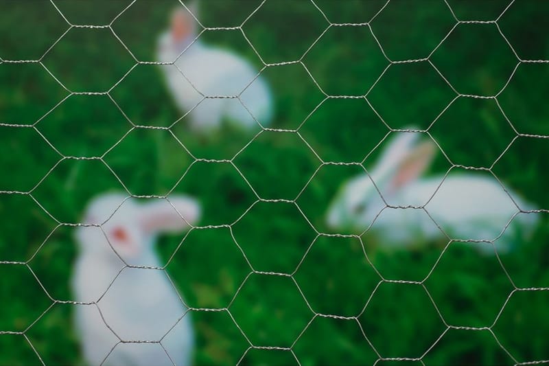 Nature Ståltrådsnät hexagonalt 1x10 m 25 mm galvaniserat stå - Grå - För djuren - Nätstängsel