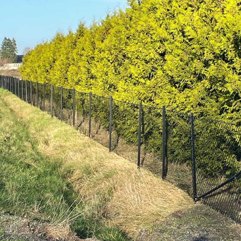 Villastängsel 100cm högt | 25 meter | Komplett paket - Hus & renovering - Insynsskydd & inhägnad - Stängsel