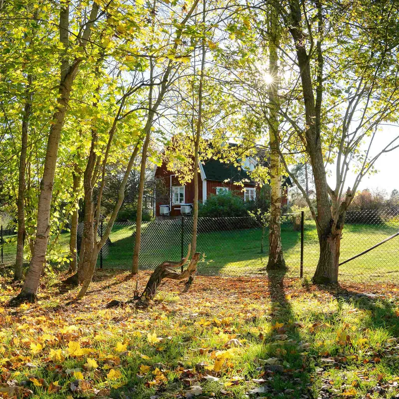 Villastängsel 120cm högt | 100 meter | Komplett paket - Hus & renovering - Insynsskydd & inhägnad - Stängsel