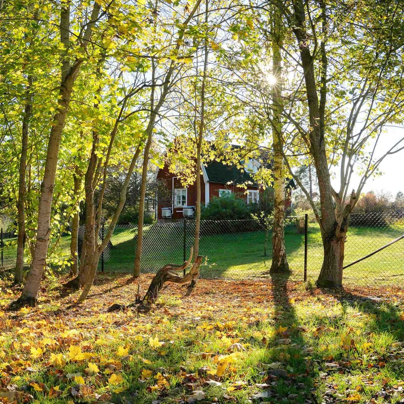 Villastängsel 150cm högt | 25 meter | Komplett paket - Hus & renovering - Insynsskydd & inhägnad - Stängsel