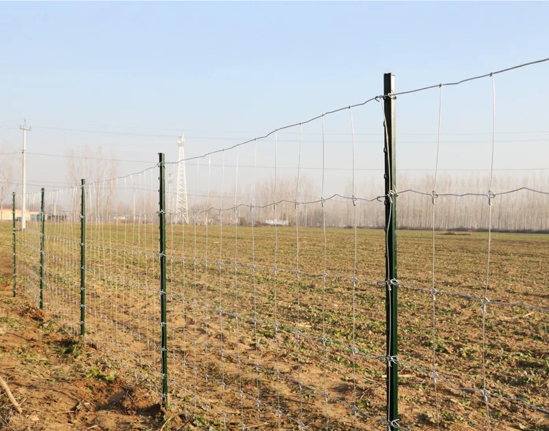 Viltstängsel | 100m | Höjd 150 cm, undefined