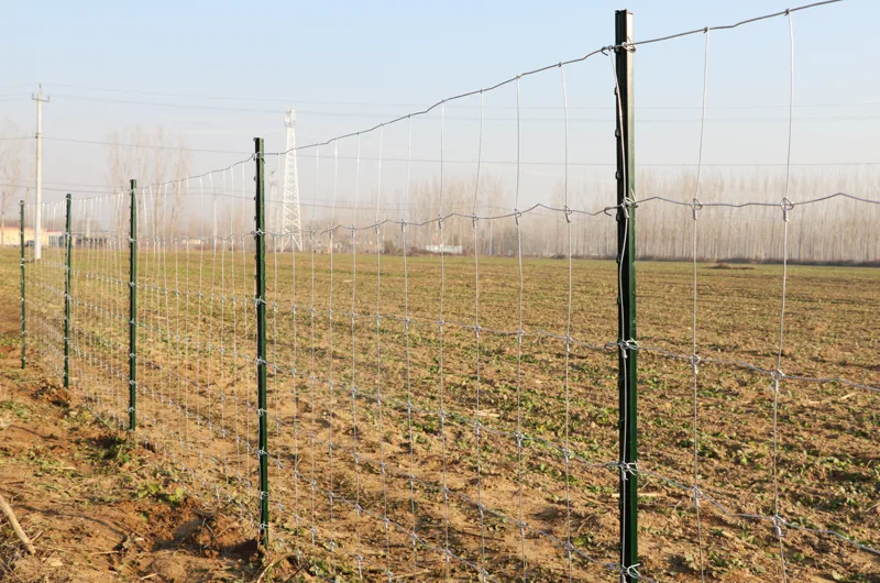 Viltstängsel | längd: 100m | Höjd:100cm | Metalcraft - Hus & renovering - Insynsskydd & inhägnad - Stängsel