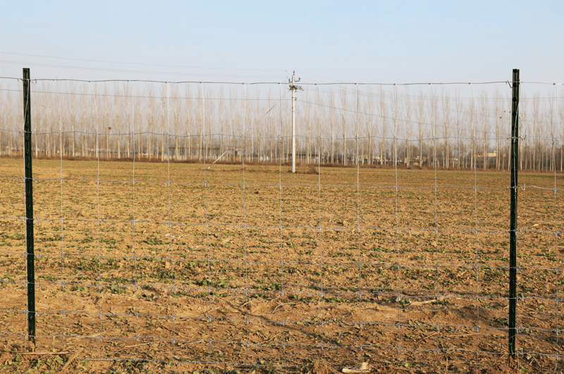 Viltstängsel | längd: 100m | Höjd:125cm | Metalcraft - Hus & renovering - Insynsskydd & inhägnad - Stängsel