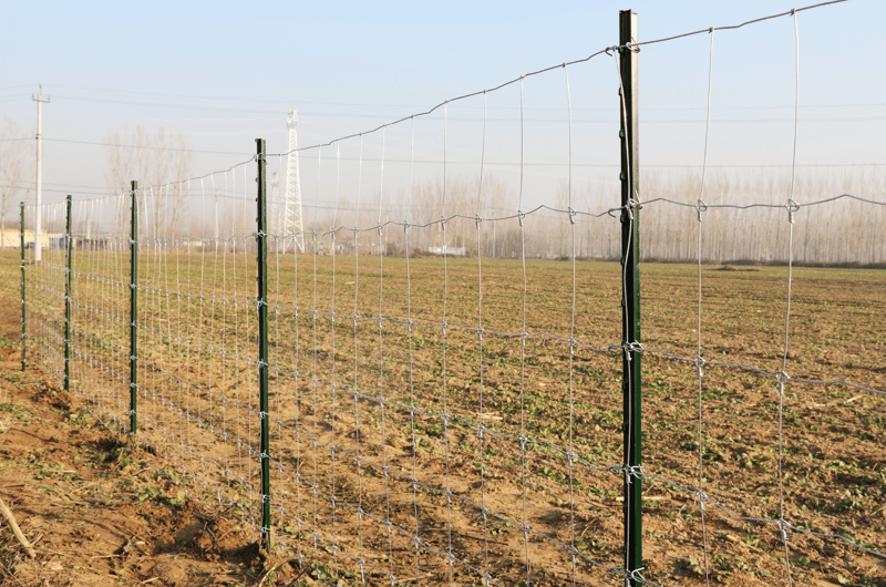 Viltstängsel | längd: 100m | Höjd:125cm | Metalcraft - Hus & renovering - Insynsskydd & inhägnad - Stängsel