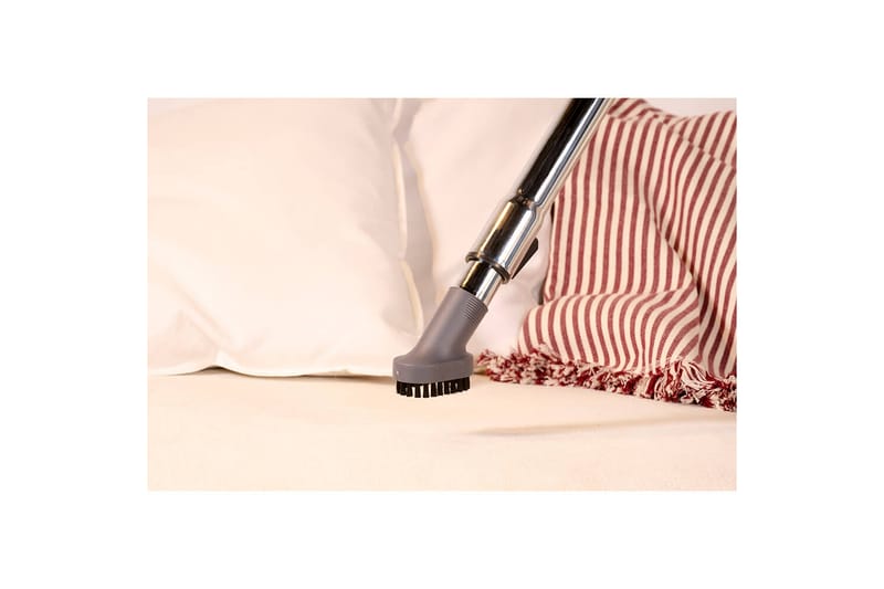 Dammsugare Solac More Brave Påslös 800W - Hushåll - Städ & klädvård - Dammsugare