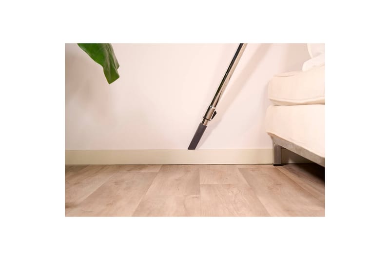 Dammsugare Solac More Brave Påslös 800W - Hushåll - Städ & klädvård - Dammsugare