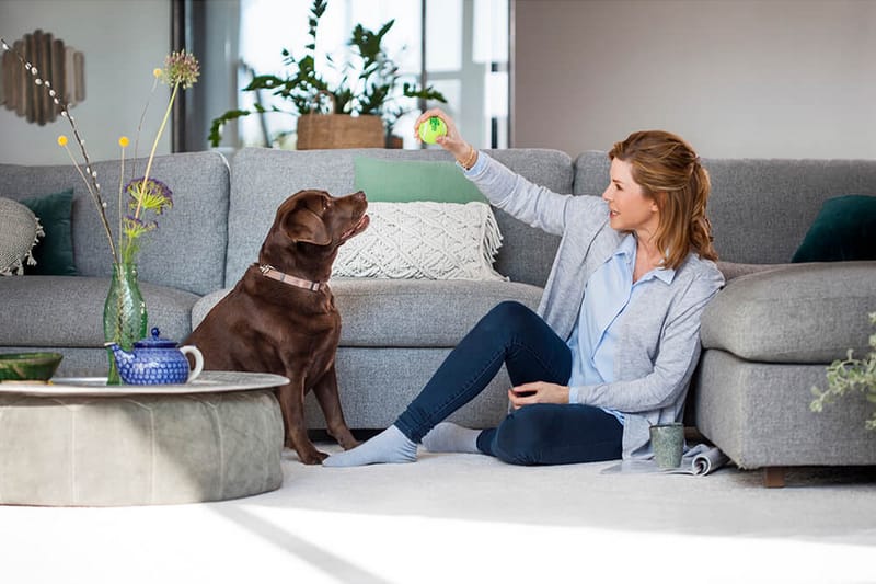 Mattvätt Bissell Revolution 2x ProHeat - Hushåll - Städ & klädvård - Dammsugare