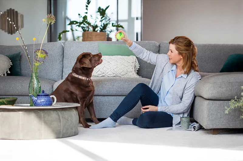 Mattvätt Bissell Revolution 2x ProHeat - Hushåll - Städ & klädvård - Dammsugare