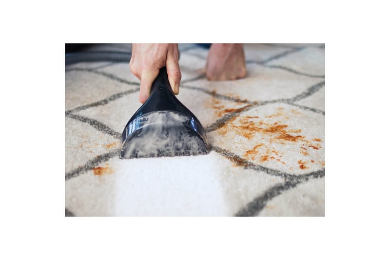 Textiltvätt Bissell SpotClean Professional - Hushåll - Städ & klädvård - Dammsugare