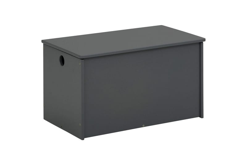 Leksakslåda/Skrin Alpi 70x40x40 cm, Grå - 70x40x40 cm, Grå - Möbler - Barnmöbler - Förvaring barnrum - Leksaksförvaring - Leksakslåda