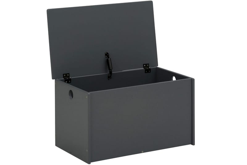 Leksakslåda/Skrin Alpi 70x40x40 cm, Grå - 70x40x40 cm, Grå - Möbler - Barnmöbler - Förvaring barnrum - Leksaksförvaring - Leksakslåda
