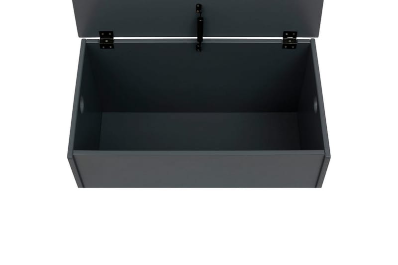 Leksakslåda/Skrin Alpi 70x40x40 cm, Grå - 70x40x40 cm, Grå - Möbler - Barnmöbler - Förvaring barnrum - Leksaksförvaring - Leksakslåda
