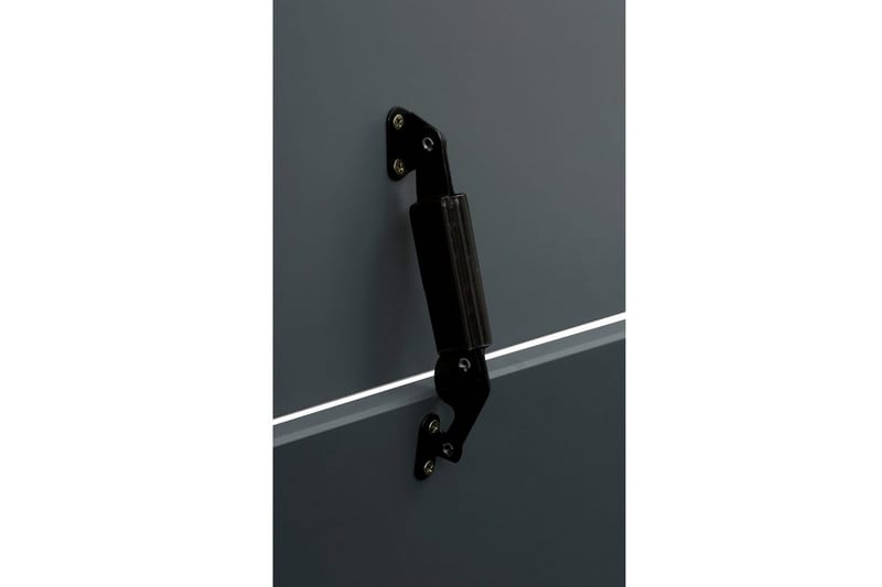 Leksakslåda/Skrin Alpi 70x40x40 cm, Grå - 70x40x40 cm, Grå - Möbler - Barnmöbler - Förvaring barnrum - Leksaksförvaring - Leksakslåda
