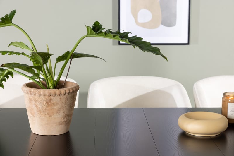 Astrid Matgrupp 200 cm Rektangulär med 6 Day stolar - Svart - Möbler - Bord & matgrupper - Matgrupper