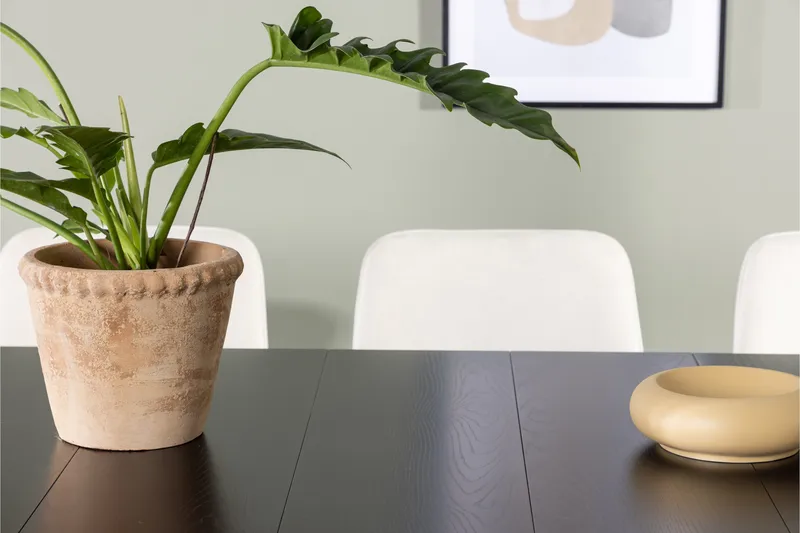 Astrid Matgrupp 200 cm Rektangulär med 6 Rosie stolar - Beige - Möbler - Bord & matgrupper - Matgrupper