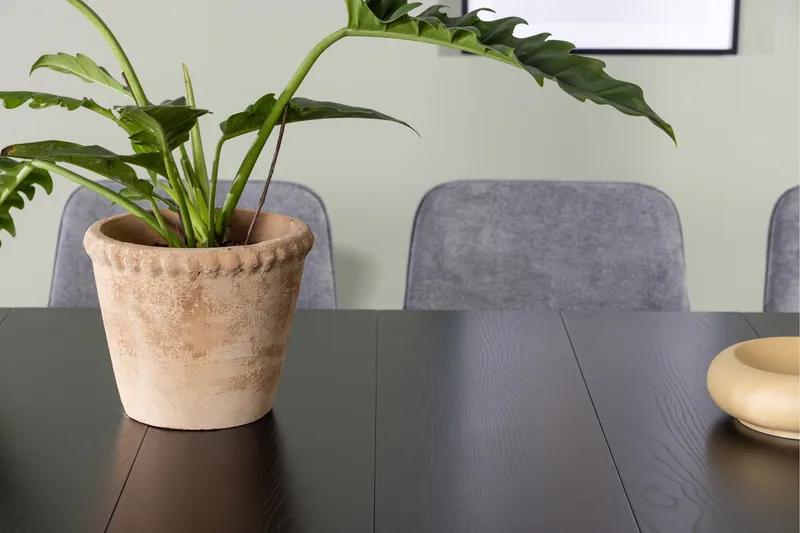 Astrid Matgrupp 200 cm Rektangulär med 6 Rosie stolar - Svart - Möbler - Bord & matgrupper - Matgrupper