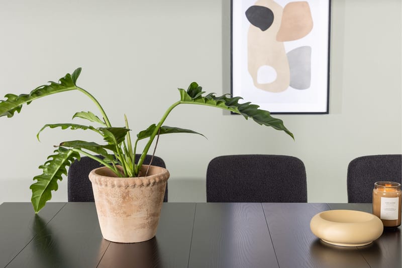 Astrid Matgrupp 200 cm Rektangulär med 6 Yesterday stolar - Svart - Möbler - Bord & matgrupper - Matgrupper