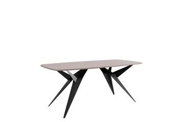 Elvora Matbord 160 cm Rektangulär