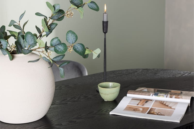 Isolde Matgrupp 180 cm Oval med 4 Lilja stolar - Svart - Möbler - Bord & matgrupper - Matgrupper