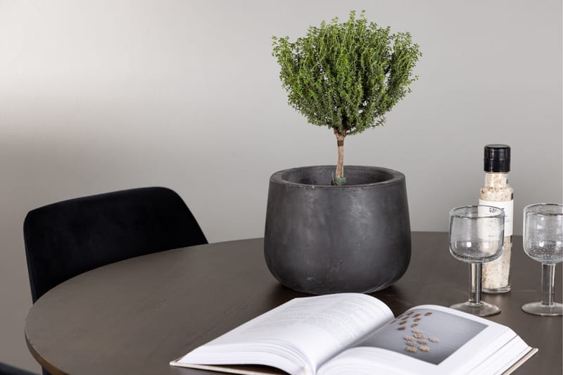 Kaseidon Matgrupp 100 cm Rund med 4 Night stolar - Svart - Möbler - Bord & matgrupper - Matgrupper