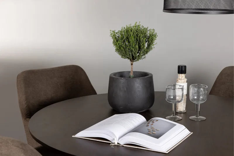 Kaseidon Matgrupp 100 cm Rund med 4 Tomorrow stolar - Brun - Möbler - Bord & matgrupper - Matgrupper