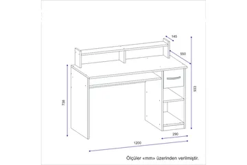Yemisen Skrivbord 120 cm med Förvaring Låda + Hyllor - Antracit - Möbler - Bord & matgrupper - Kontorsbord - Skrivbord