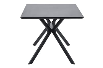 Tero Rektangulärt Matbord 160 cm i Metall och Trä med Mörkt Träutseende - Svart - Möbler - Bord & matgrupper - Matbord & köksbord