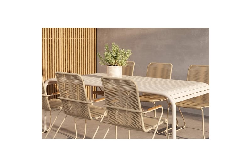 Matgrupp Borneo, Bois - Beige, Beige, 6 - Möbler - Bord & matgrupper - Matgrupper