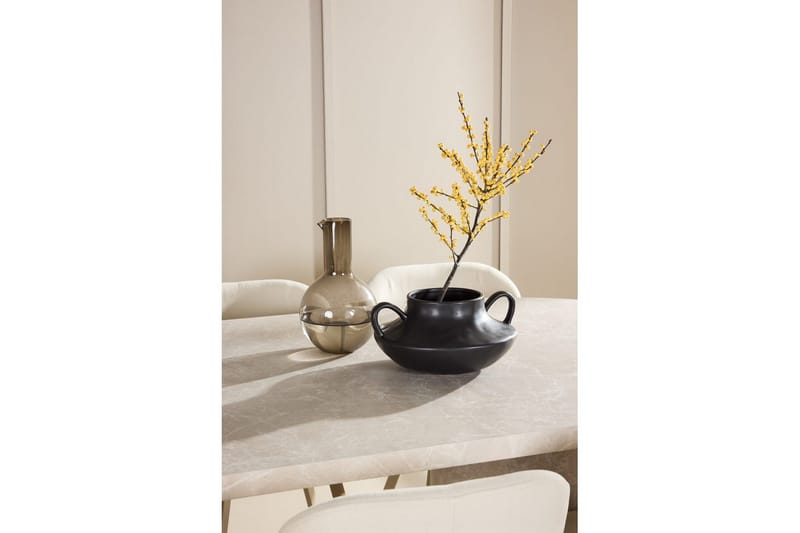 Matgrupp Narvik 100x200 cm Beige med 6st Lilja Stolar - Möbler - Bord & matgrupper - Matgrupper