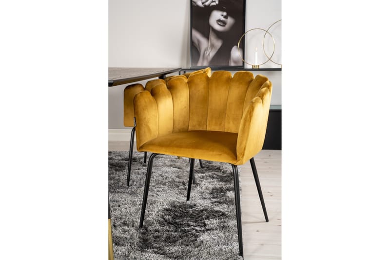 Daicy Matgrupp 180 cm med 4 Limhamn Matstolar Gul - Furniture Fashion - Möbler - Bord & matgrupper - Matgrupper