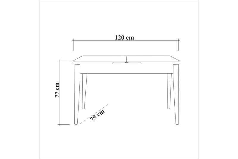 Oliver Matbord 120x75 cm Svart - Hanah Home - Matbord & köksbord