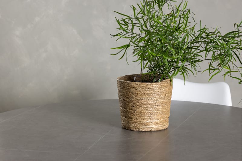 Piazza Matgrupp  120 cm Rund med 4 Zeno stolar - Grå - Möbler - Bord & matgrupper - Matgrupper