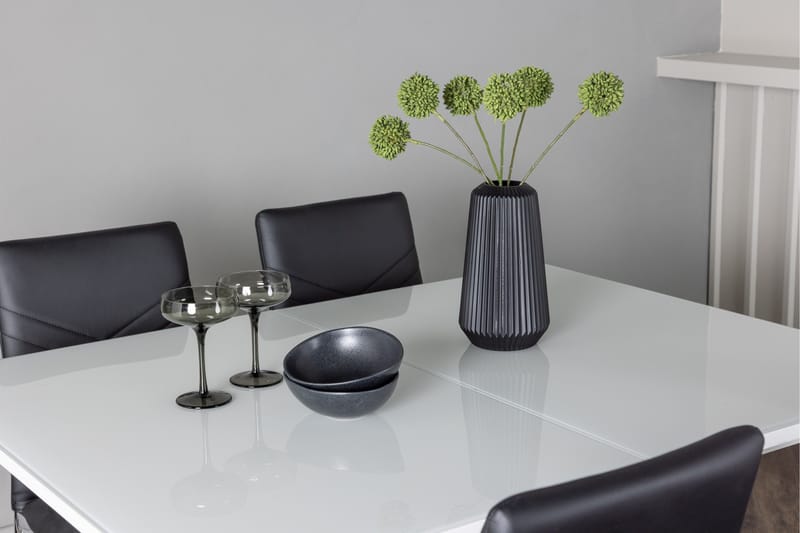 Pluto Matgrupp 120 cm Rektangulär med 4 Lily stolar - Svart - Möbler - Bord & matgrupper - Matgrupper