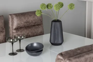Pluto Matgrupp 120 cm Rektangulär med 4 Zizo stolar - Brun - Möbler - Bord & matgrupper - Matgrupper