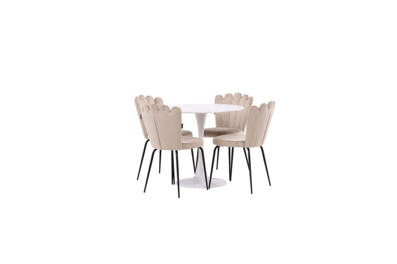 Rund Matgrupp Hamden, Limhamn Light, undefined